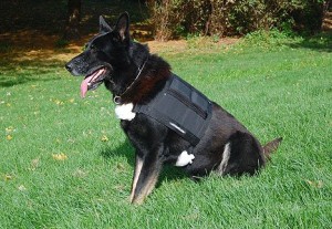 dog weight vest